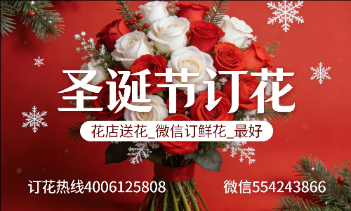 ��ݸ��������