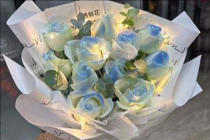 ��ݸ��������