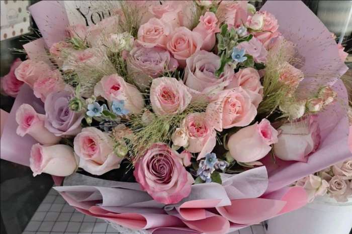��ݸ��������