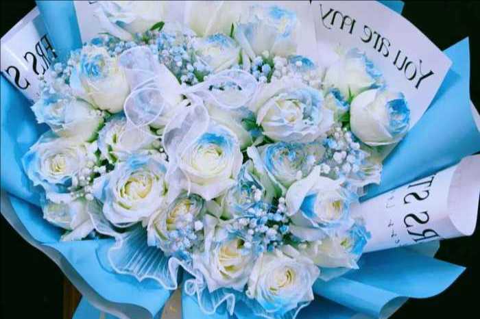 ��ݸ��������