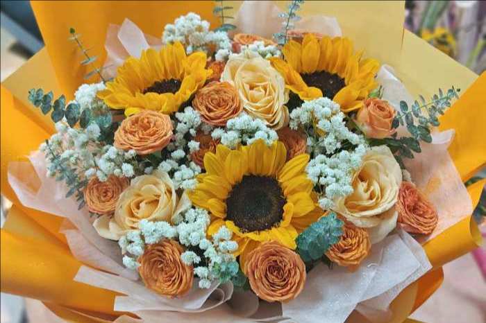 ��ݸ��������